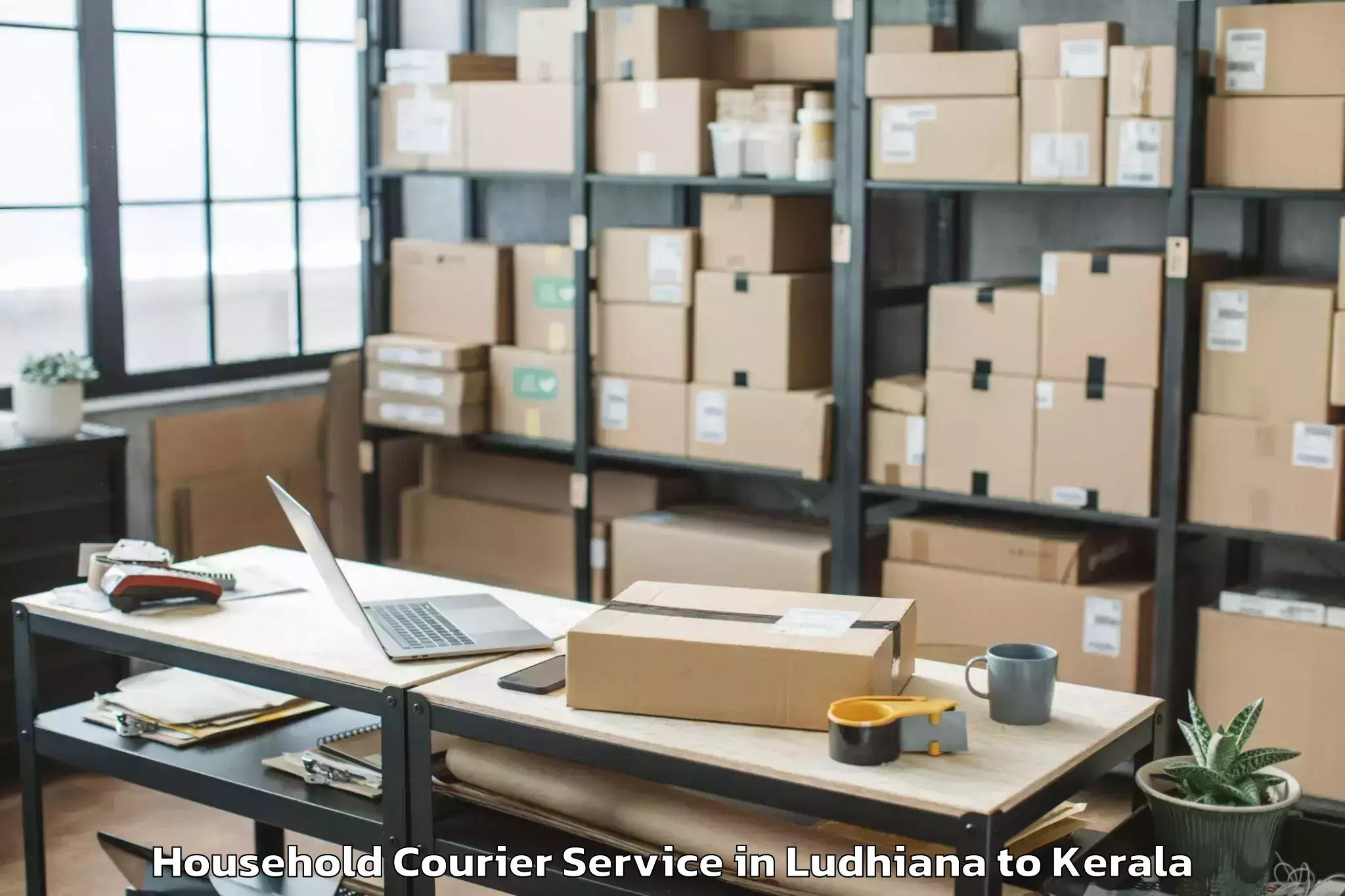 Book Ludhiana to Central University Of Kerala K Household Courier